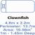 Clownfish